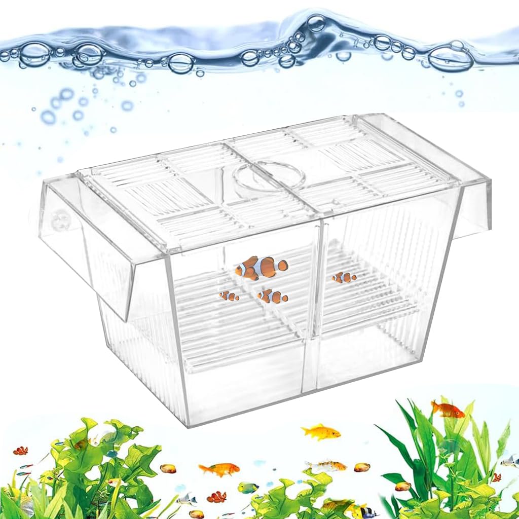 Qpets Aquarium Fish Breeding Box in-Tank Floating Breeding Box with Suction Cups Large Quarantine Fish Tank Box Acrylic Large Fish Breeding Box, 20.5x9.5x9.9cm Qpets Aquarium Fish Breeding Box in-Tank Floating Breeding Box with Suction Cups Large Quarantine Fish Tank Box Acrylic Large Fish Breeding Box, 20.5x9.5x9.9cm
